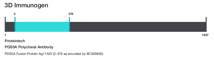 PDS5A Polyclonal Antibody
