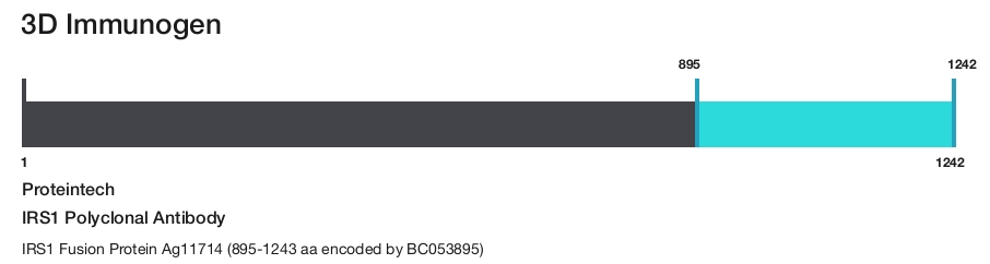 IRS1 Polyclonal Antibody
