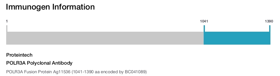 POLR3A Polyclonal Antibody