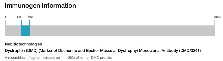 Dystrophin (DMD) (Marker of Duchenne and Becker Muscular Dystrophy) Monoclonal Antibody (DMD/3241)