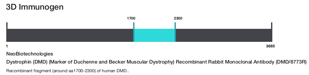 Dystrophin (DMD) (Marker of Duchenne and Becker Muscular Dystrophy) Recombinant Rabbit Monoclonal Antibody (DMD/8773R)