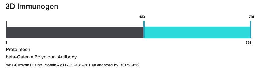beta-Catenin Polyclonal Antibody