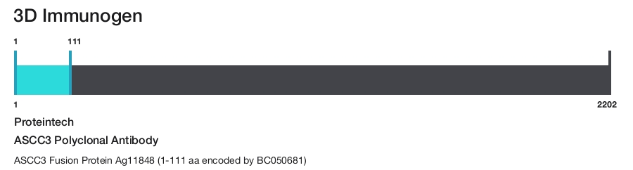 ASCC3 Polyclonal Antibody
