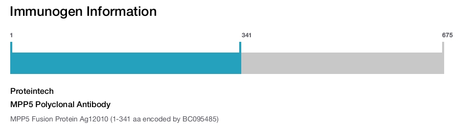 MPP5 Polyclonal Antibody