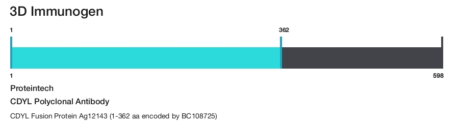 CDYL Polyclonal Antibody