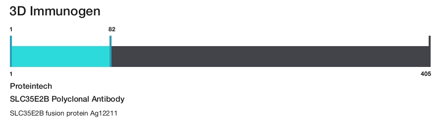 SLC35E2B Polyclonal Antibody