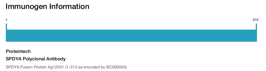 SPDYA Polyclonal Antibody