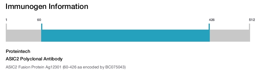 ASIC2 Polyclonal Antibody