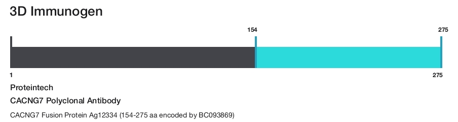 CACNG7 Polyclonal Antibody
