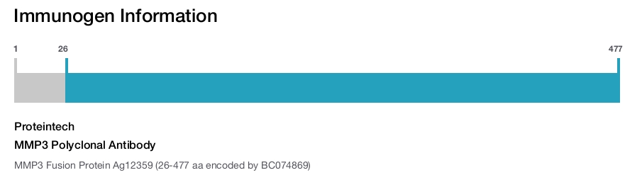 MMP3 Polyclonal Antibody