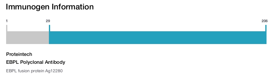 EBPL Polyclonal Antibody