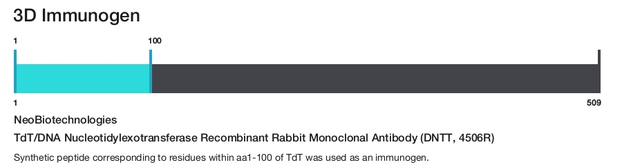 TdT/DNA Nucleotidylexotransferase Recombinant Rabbit Monoclonal Antibody (DNTT, 4506R)