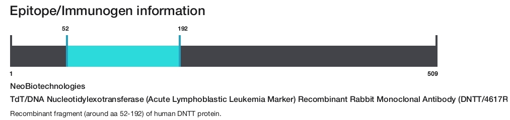 TdT/DNA Nucleotidylexotransferase (Acute Lymphoblastic Leukemia Marker) Recombinant Rabbit Monoclonal Antibody (DNTT/4617R)