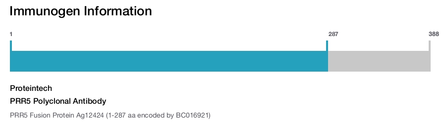 PRR5 Polyclonal Antibody