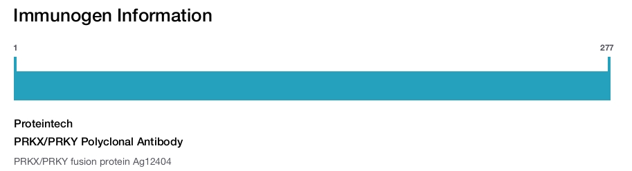 PRKX/PRKY Polyclonal Antibody