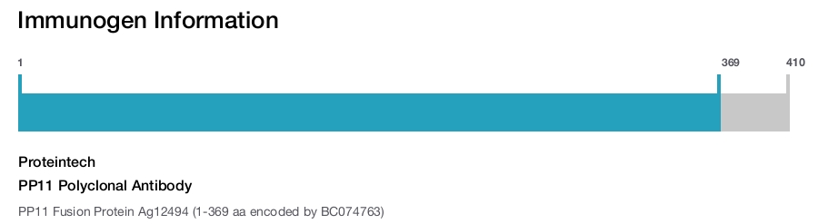PP11 Polyclonal Antibody
