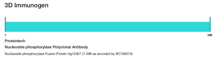 Nucleoside phosphorylase Polyclonal Antibody