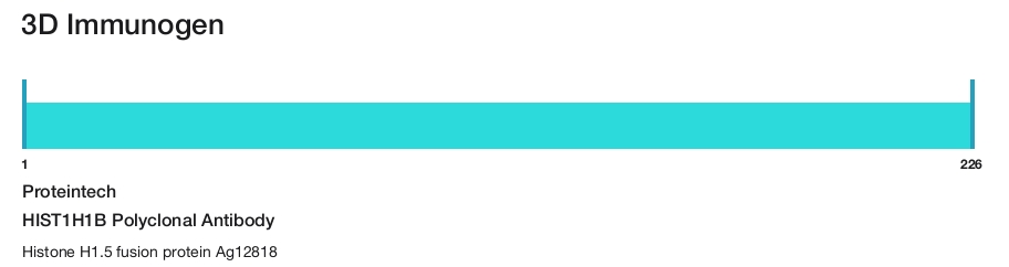 HIST1H1B Polyclonal Antibody