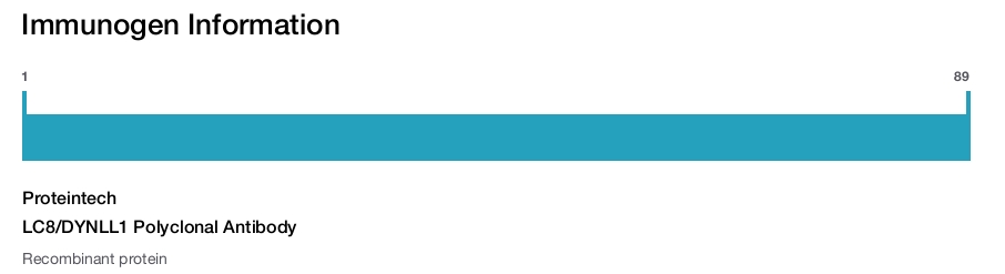 LC8/DYNLL1 Polyclonal Antibody