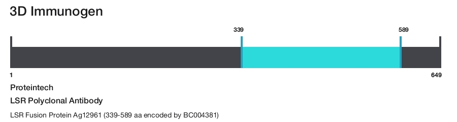 LSR Polyclonal Antibody