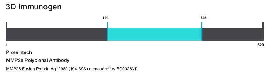 MMP28 Polyclonal Antibody