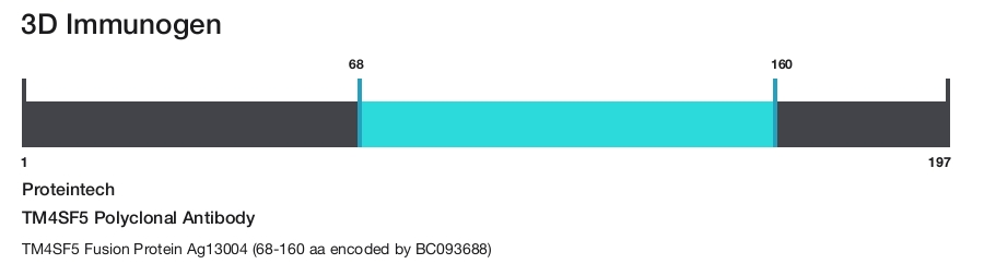 TM4SF5 Polyclonal Antibody