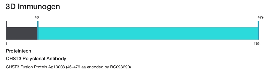 CHST3 Polyclonal Antibody