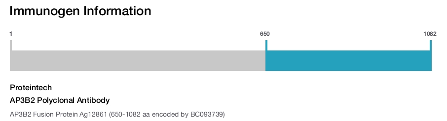 AP3B2 Polyclonal Antibody