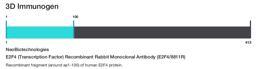E2F4 (Transcription Factor) Recombinant Rabbit Monoclonal Antibody (E2F4/8811R)