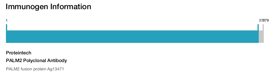 PALM2 Polyclonal Antibody