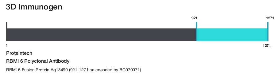 RBM16 Polyclonal Antibody