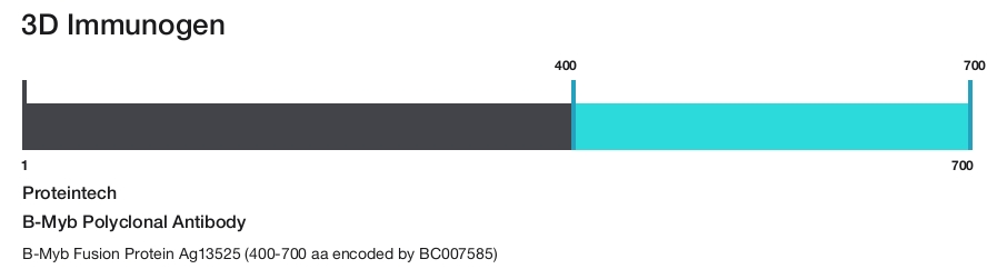 B-Myb Polyclonal Antibody