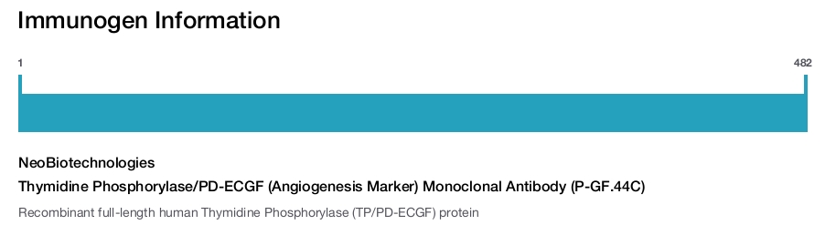 Thymidine Phosphorylase/PD-ECGF (Angiogenesis Marker) Monoclonal Antibody (P-GF.44C)