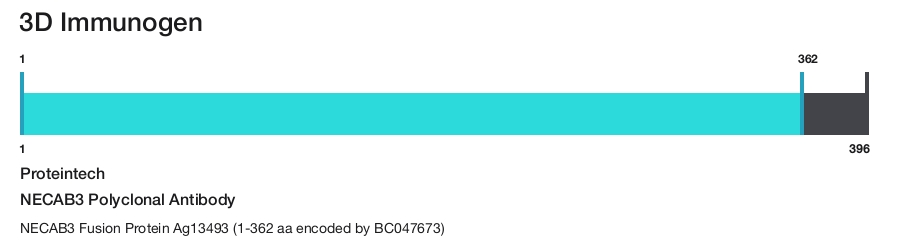 NECAB3 Polyclonal Antibody