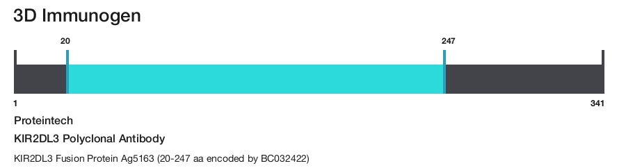 KIR2DL3 Polyclonal Antibody