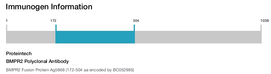 BMPR2 Polyclonal Antibody