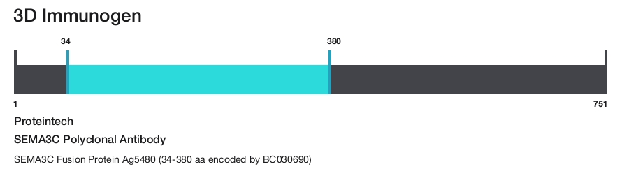 SEMA3C Polyclonal Antibody
