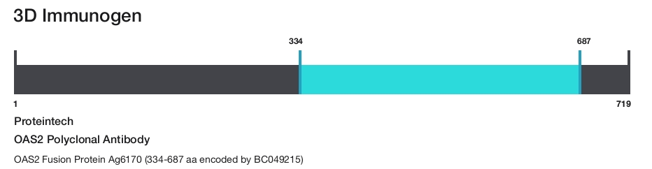 OAS2 Polyclonal Antibody