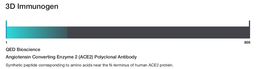 Angiotensin Converting Enzyme 2 (ACE2) Polyclonal Antibody