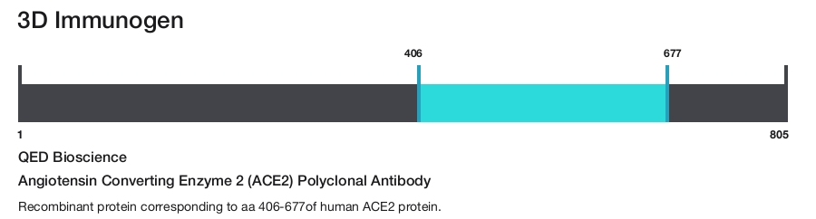 Angiotensin Converting Enzyme 2 (ACE2) Polyclonal Antibody