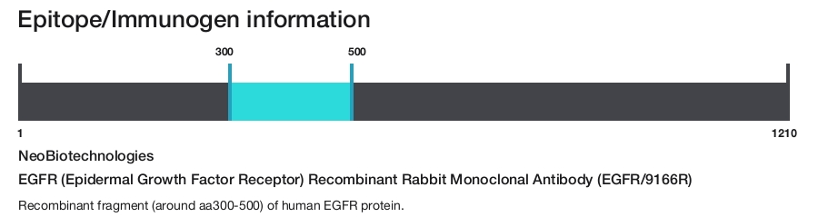 EGFR (Epidermal Growth Factor Receptor) Recombinant Rabbit Monoclonal Antibody (EGFR/9166R)