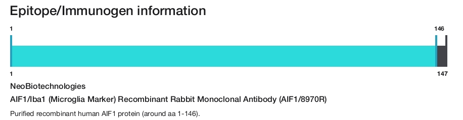 AIF1/Iba1 (Microglia Marker) Recombinant Rabbit Monoclonal Antibody (AIF1/8970R)