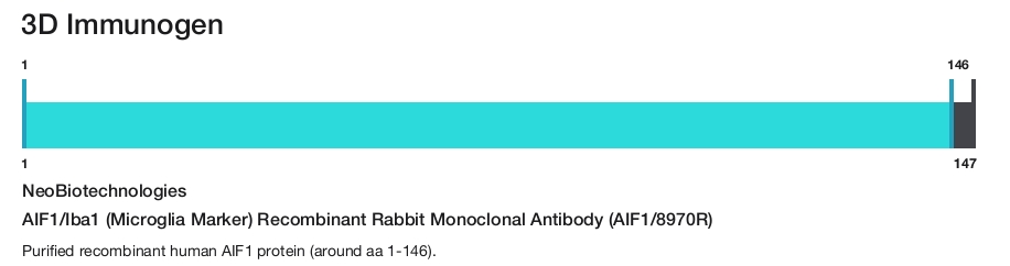 AIF1/Iba1 (Microglia Marker) Recombinant Rabbit Monoclonal Antibody (AIF1/8970R)