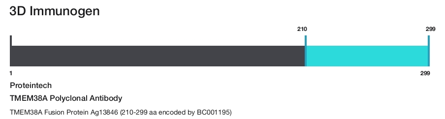 TMEM38A Polyclonal Antibody