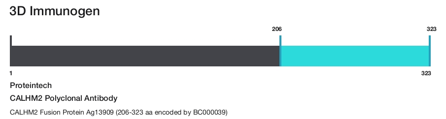 CALHM2 Polyclonal Antibody