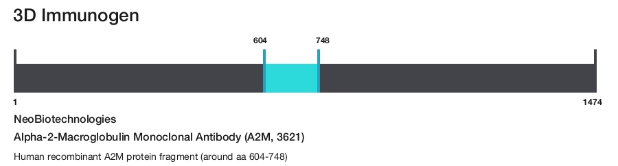 Alpha-2-Macroglobulin Monoclonal Antibody (A2M, 3621)
