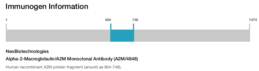 Alpha-2-Macroglobulin/A2M Monoclonal Antibody (A2M/4848)
