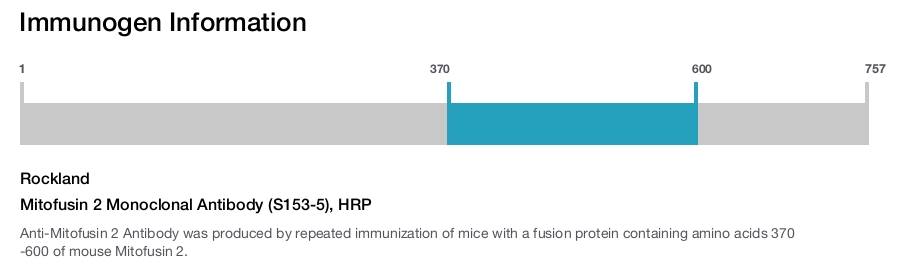 Mitofusin 2 Monoclonal Antibody (S153-5), HRP