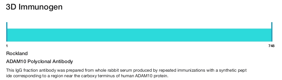 ADAM10 Polyclonal Antibody