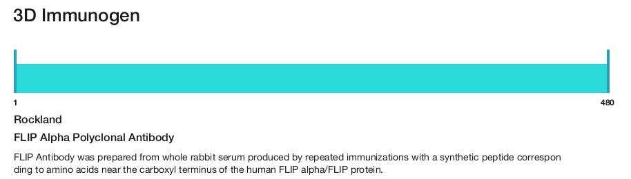 FLIP Alpha Polyclonal Antibody